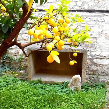 Castlehouse בית הארחה