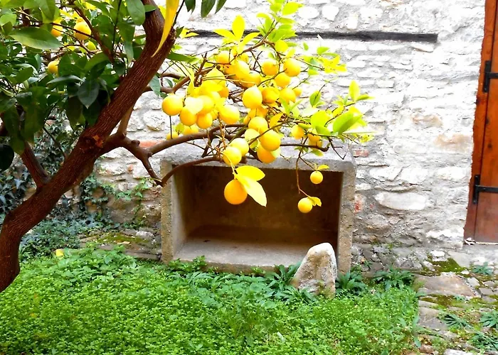 Castlehouse Pensjonat